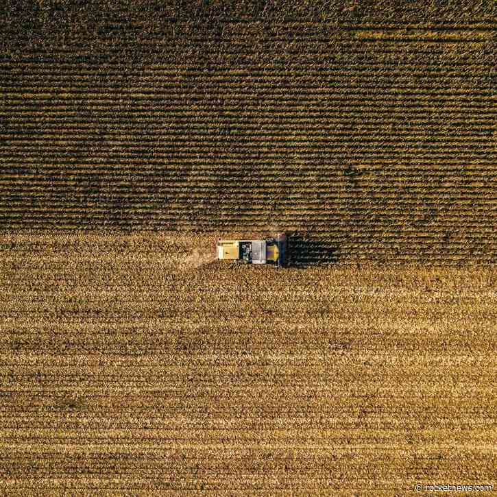 Wheat Starting August with Slight Losses