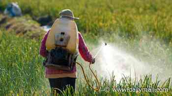 Pesticide warning as study finds link to  terrifying motor neurone disease - exposure could raise risk by up to 70%