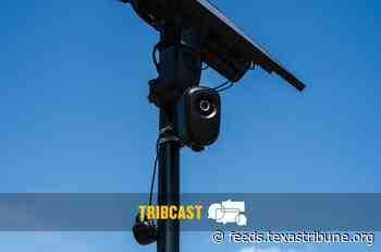 TribCast: The Flock camera freakout