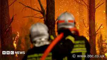 Could tech replace firefighters in the battle against wildfires?