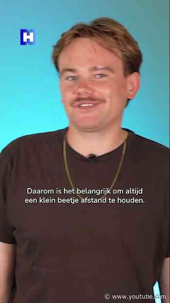 Wat moet je doen als je gestoken bent door een Aziatische hoornaar? 🐝