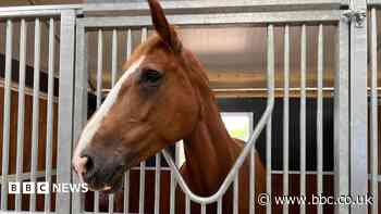 Police force celebrates opening of new stables