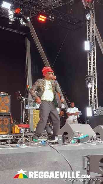 THIRD WORLD @ REGGAE LAND 2026 🔥