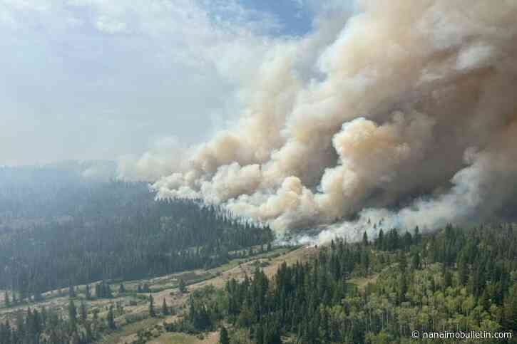 Why B.C. says now is not the time for a state of emergency amid wildfires