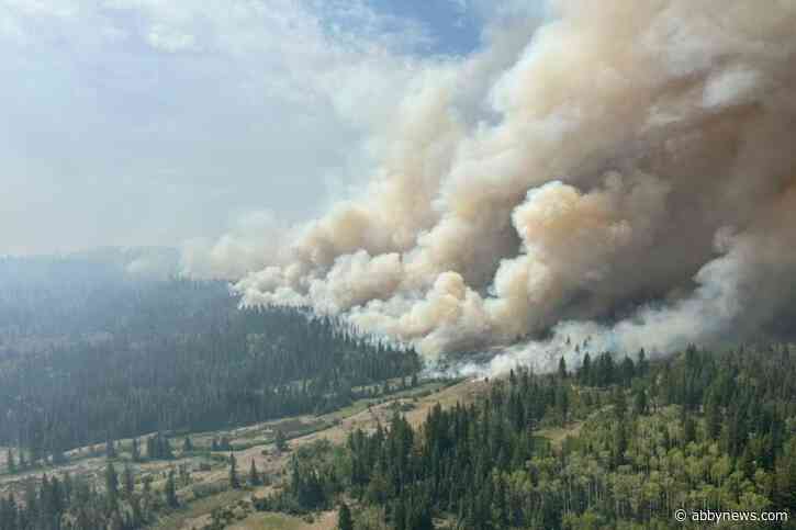 Why B.C. says now is not the time for a state of emergency amid wildfires
