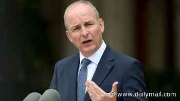 Irish leader's jet 'can't land in fog after he had its navigation system removed... because it was made in Israel'