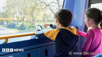 Children get free bus and tram travel during summer