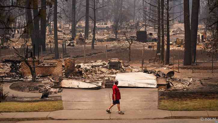 Verdachte opgepakt voor veroorzaken verwoestende natuurbrand in Washington