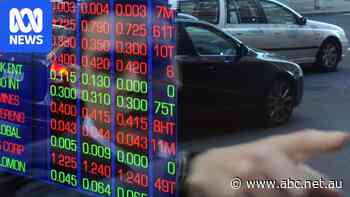 Own Australian shares? Reporting season to bring big falls at major companies