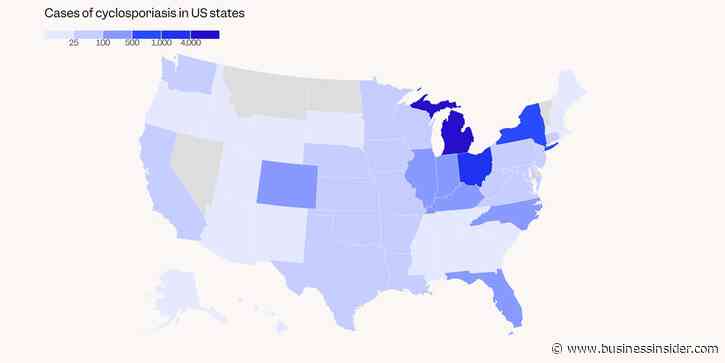 Cyclospora in salad: The diarrhea parasite outbreak has now sickened over 10,000 nationwide — see the hotspots