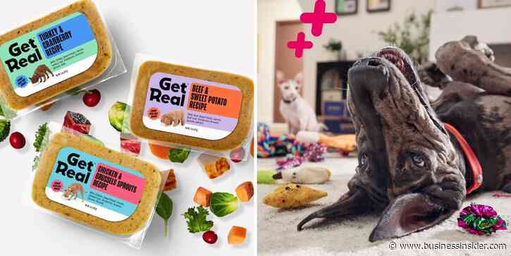 Best Chewy promo codes in August 2026: New customers get a $25 gift card