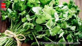5 tips to keep coriander leaves (dhania patta) fresh for weeks