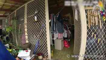 Australian woman charged with murder after allegedly starving man with Down's Syndrome to death