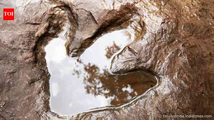 Ancient Dinosaur Trail Found: photographer spots 200m-year-old prints on cliff; lagoon past revealed