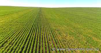 Big 11,995ha Nowingi Plains cropping portfolio for sale in the Mallee