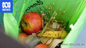 No dog poo or tea bags in surprise change to WA FOGO bin rules