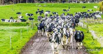 High rainfall and high-tech Timboon dairy farm offered walk-in walk-out