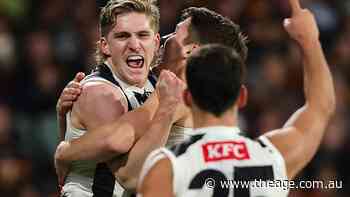 Collingwood finally in contract talks with improving young gun