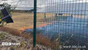 Multiple crews deal with grass and forest fire