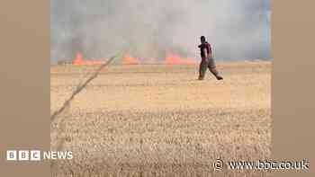 Firefighters called to tackle field blaze