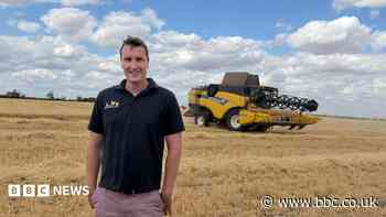'I don't think there'll be any profit' - farmer