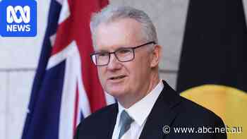 Warnings Labor's plan to delay family reunions could be 'human rights issue'
