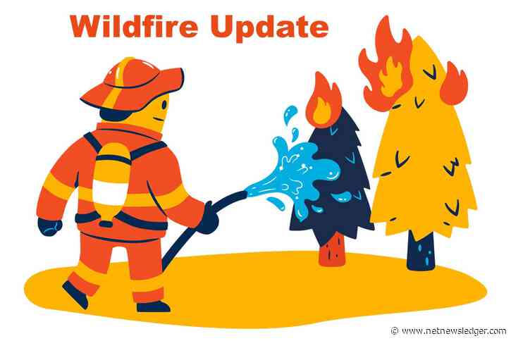 Ontario Wildfire Report: 45 Active Fires in Northeast Region