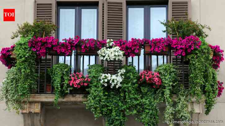5 easy and simple hacks to accommodate nearly 50 plants in your small balcony garden
