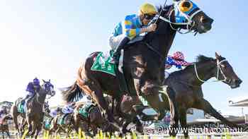Three big hopes for trainers at Gosford