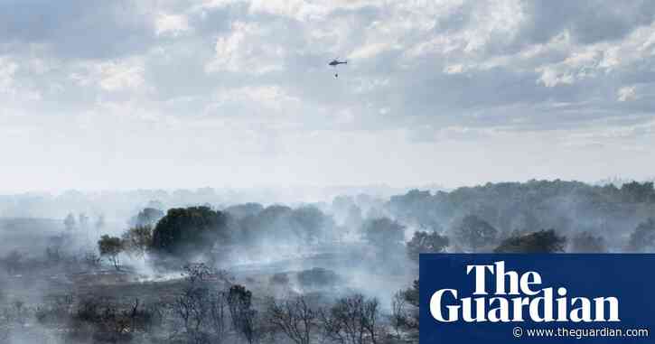 Calls to ban disposable barbecues in England and Wales over wildfire risk