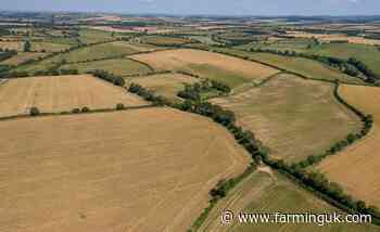 Heat and drought put UK on course for worst harvest since 1984
