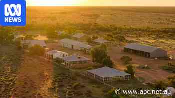 Australia's largest contiguous sheep station sold to Adelaide businessman