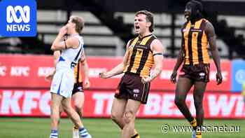 Hawks' Wizard looking to pull off Coleman medal shock