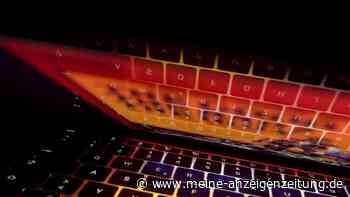 Informatiker schickt Penisfoto statt Katzenbild – 9600 Euro Strafe