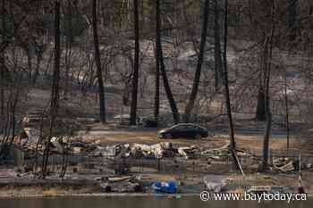 Dry lightning, hot weather expected to increase wildfire conditions in B.C. Interior