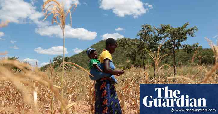 El Niño could push 50m people into acute hunger before end of next year