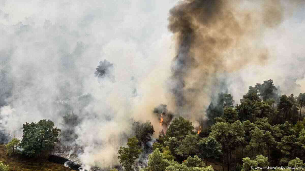 Waldbrand breitet sich in Naturschutzgebiet im Süden der Niederlande aus