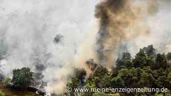 Waldbrand breitet sich in Naturschutzgebiet im Süden der Niederlande aus