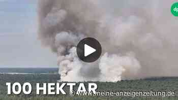 Waldbrand eskaliert: Warum plötzlich die Armee eingreifen muss