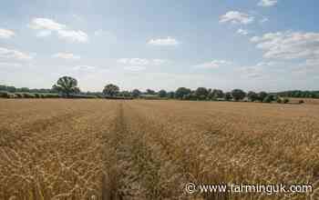 One spark could wipe out UK harvests, NFU warns
