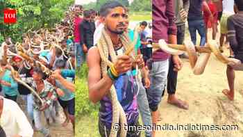 History behind Samastipur's centuries-old serpent festival