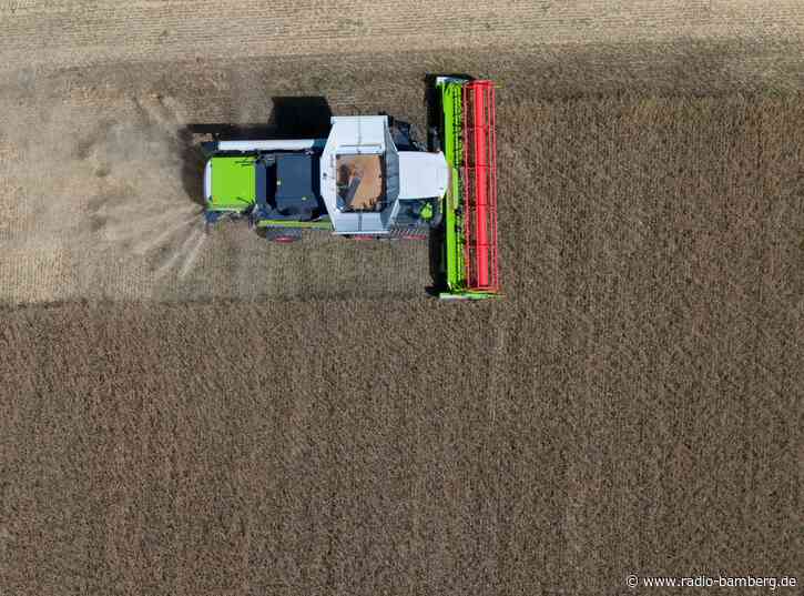 Weniger Fläche für die Landwirtschaft