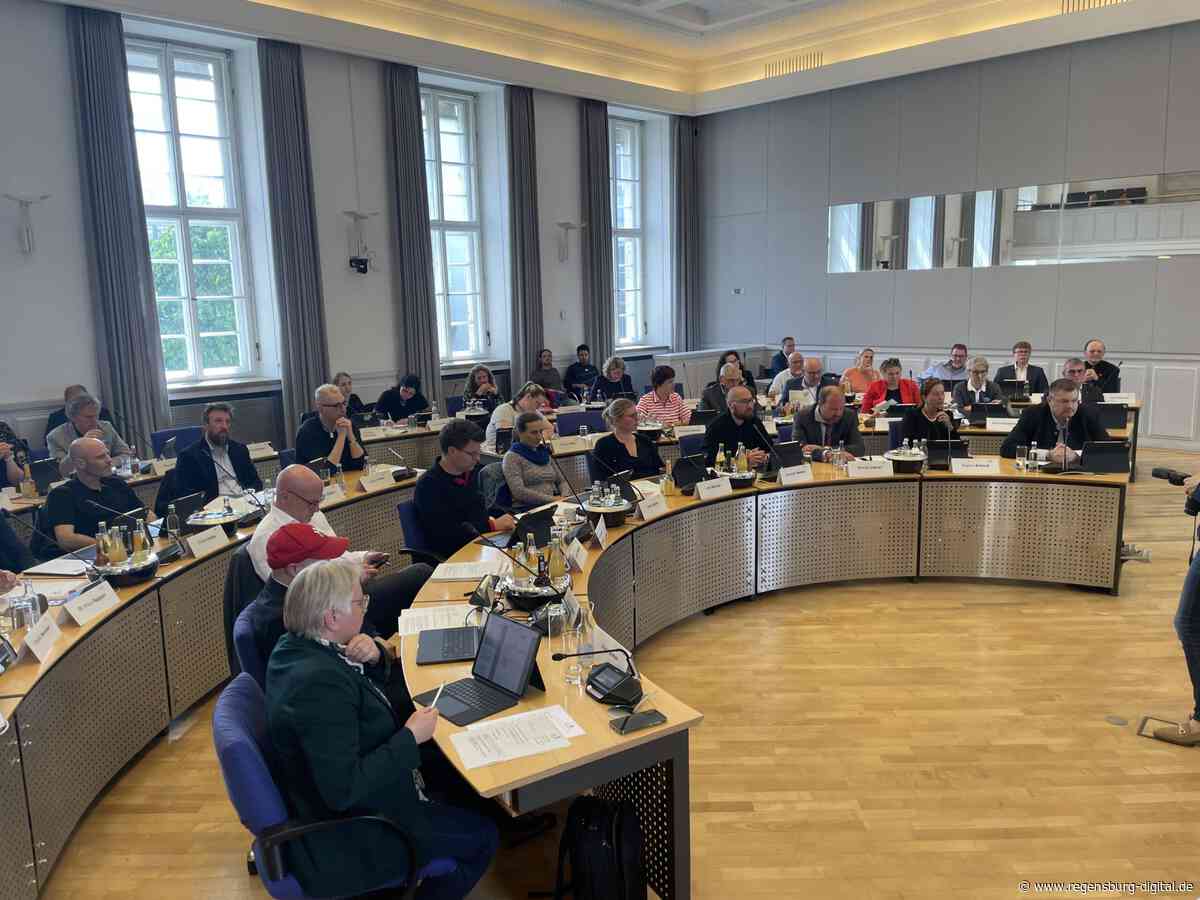„So weit wie möglich von der Verwaltung fernhalten.“ Regensburger Stadtrat lässt AfD bei Verwaltungsbeiräten abblitzen