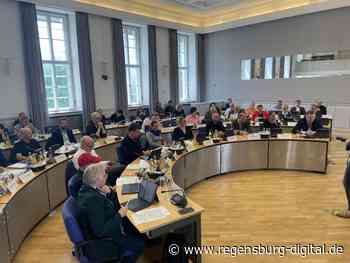 „So weit wie möglich von der Verwaltung fernhalten.“ Regensburger Stadtrat lässt AfD bei Verwaltungsbeiräten abblitzen