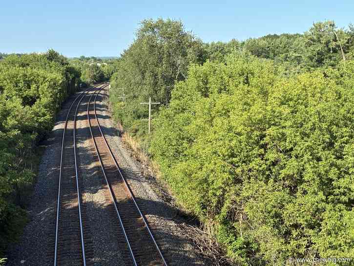 Kingston environmentalists call for development to be stopped