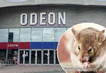 Cinema-goers flee Spider-Man screening after mice spotted ‘running up the walls’