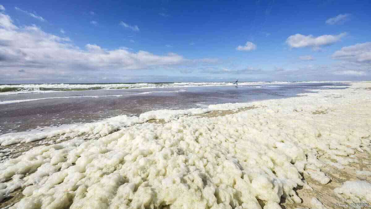 Geheimtipp für den Urlaub: Der perfekte goldene Strand ist nur drei Stunden von NRW entfernt