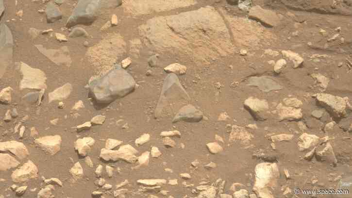 Mars dust is toxic. How will future astronauts deal with it?