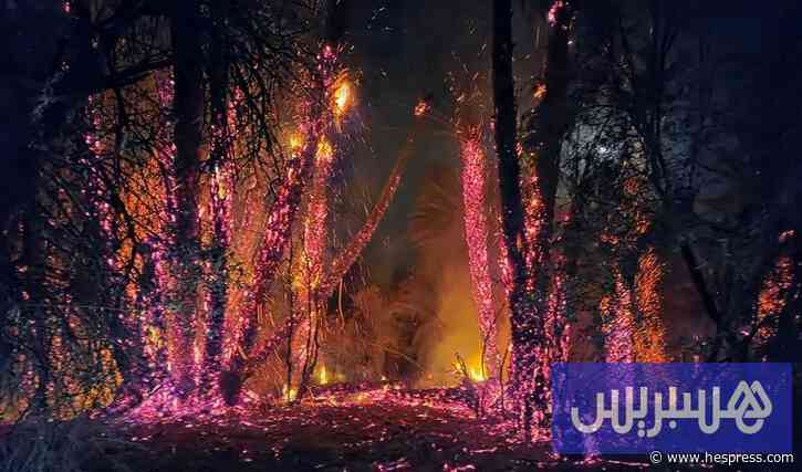 يقظة السكان تخمد "حريق واحة أياي"