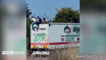 Suspected migrants 'cut into roof' says removal firm